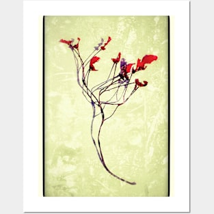 Red flower twig Posters and Art